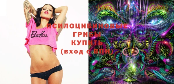 не бодяженный Алзамай