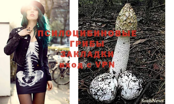 марки nbome Алексин