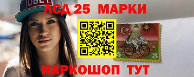 тгк Дмитров