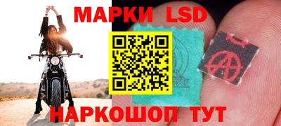 тгк Дмитров