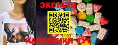 тгк Дмитров