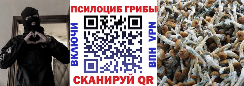 Галлюциногенные грибы Psilocybine cubensis  МЕГА рабочий сайт  Махачкала  цена наркотик 