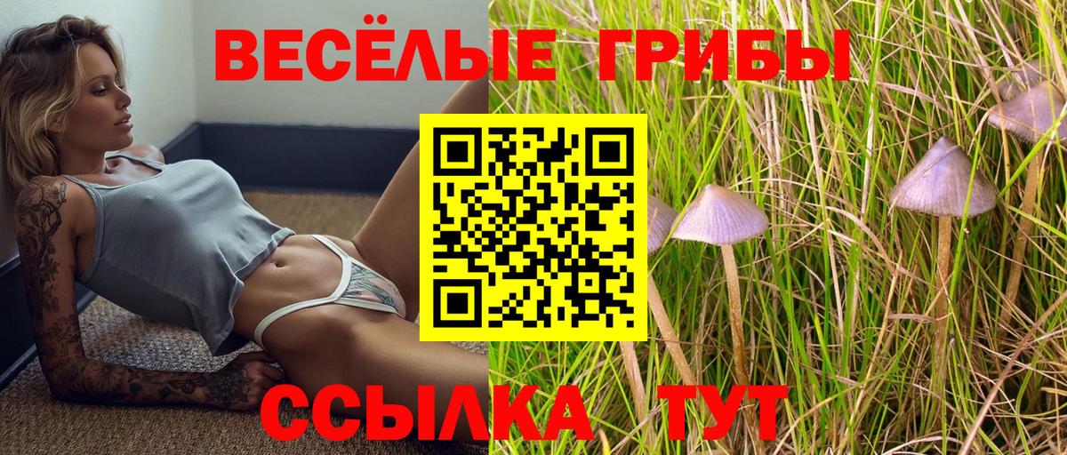 Псилоцибиновые грибы Magic Shrooms Махачкала