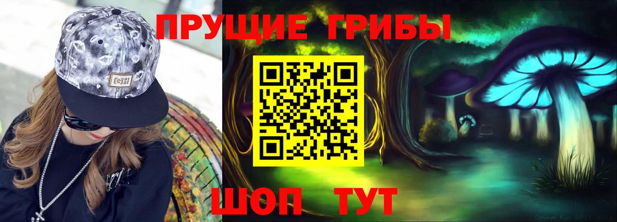 Махачкала  цены   Вход с VPN  Псилоцибиновые грибы MAGIC MUSHROOMS 
